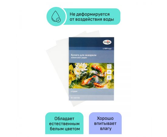 Папка для акварели, 10л., А3 Гамма "Студия", 200г/м2, среднее зерно 30C03F710W