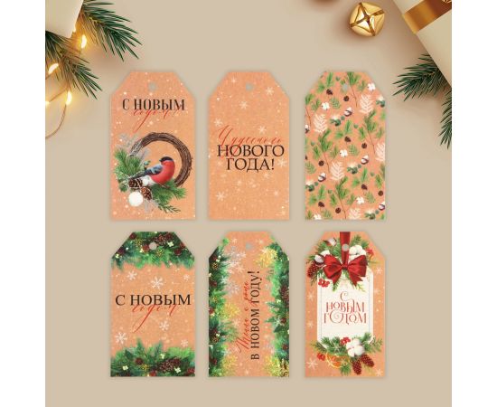 Шильдик новогодний декоративный в наборе «Время чудес», 6 шт., 9×5 см 9799612