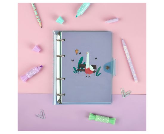 Тетрадь на кольцах 120л., А5, клетка MESHU "Quack-Quack", с пластиковой обложкой MS_50662