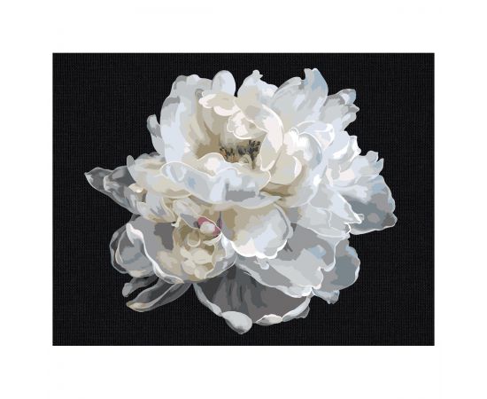 Картина по номерам на черном холсте ТРИ СОВЫ "Белый цветок", 30*40, c акриловыми красками и кистями КХп_48147