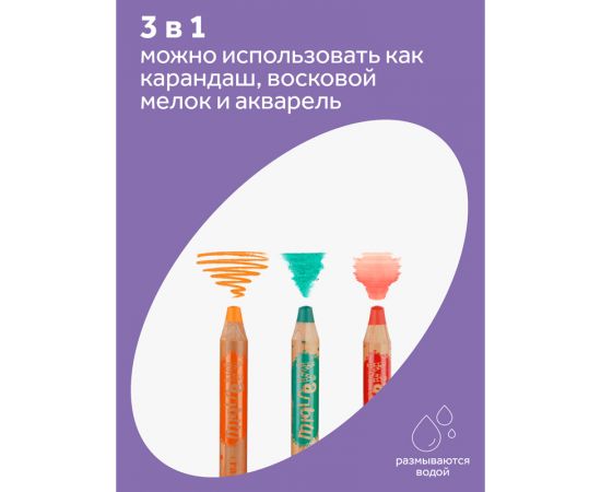 Карандаши цветные Гамма "Малыш", 08цв., утолщенные, заточен., с точилкой, картон. упаковка, европодвес 051218_03