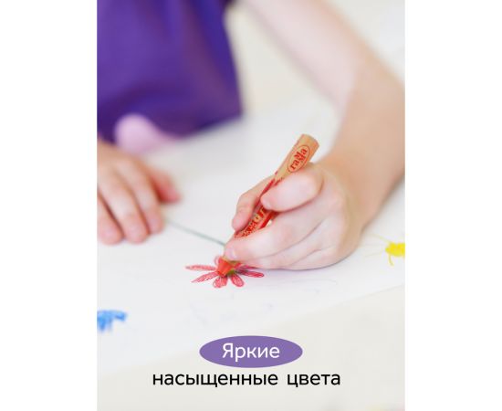 Карандаши цветные Гамма "Малыш", 08цв., утолщенные, заточен., с точилкой, картон. упаковка, европодвес 051218_03