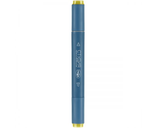 Маркер двусторонний для скетчинга Гамма "Студия", болотный светлый, корпус трехгранный, пулевид./клиновид. наконечники 1204M0618