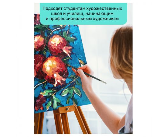 Набор холстов на подрамнике Гамма "Студия", шестигранный, 2шт., диаметр 35см, 100% хлопок, 280г/м2, мелкое зерно 2628035