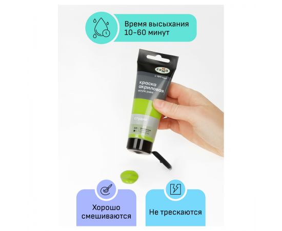 Краска акриловая художественная Гамма "Студия", 75мл, пластиковая туба, фисташковая 280220545