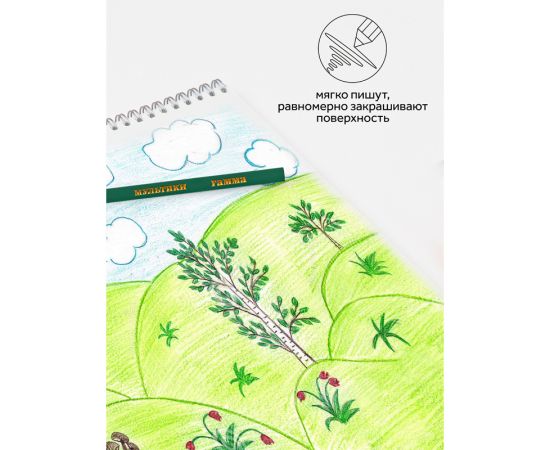 Карандаши цветные Гамма "Мультики", 06цв., трехгранные, заточен., картон. упак., европодвес 290122_06