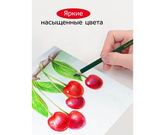 Карандаши цветные Гамма "Мультики", 06цв., трехгранные, заточен., картон. упак., европодвес 290122_06