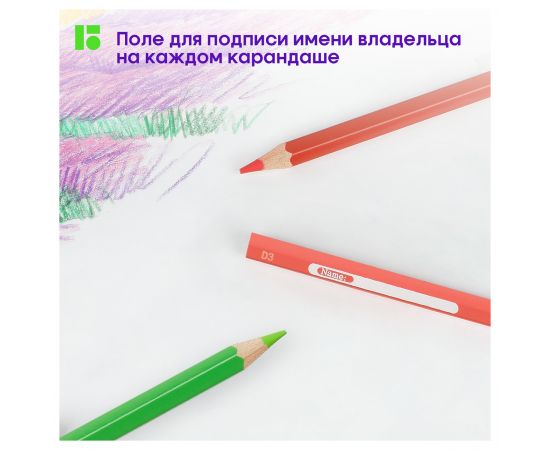 Карандаши цветные Berlingo "SuperSoft. Замки", 24цв., заточен., картон, европодвес SS00124