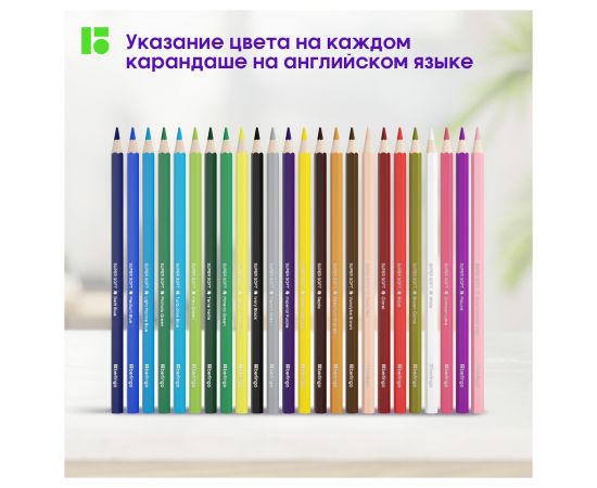 Карандаши цветные Berlingo "SuperSoft. Замки", 24цв., заточен., картон, европодвес SS00124