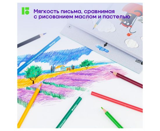 Карандаши цветные Berlingo "SuperSoft. Жил-был кот", 36цв., трехгран., заточен., картон, европодвес SS00536