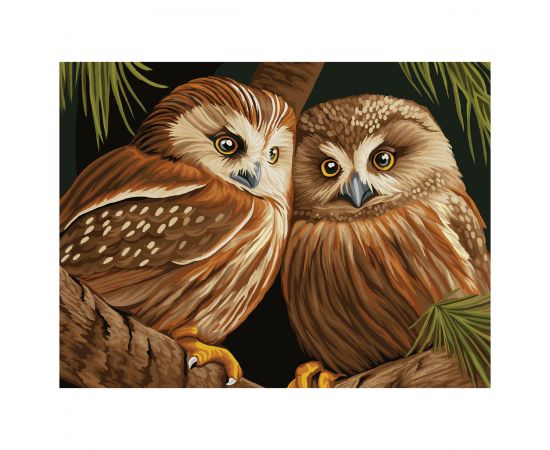 Картина по номерам на холсте ТРИ СОВЫ "Две совы", 40*50, с акриловыми красками и кистями КХ4050_53927