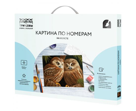 Картина по номерам на холсте ТРИ СОВЫ "Две совы", 40*50, с акриловыми красками и кистями КХ4050_53927