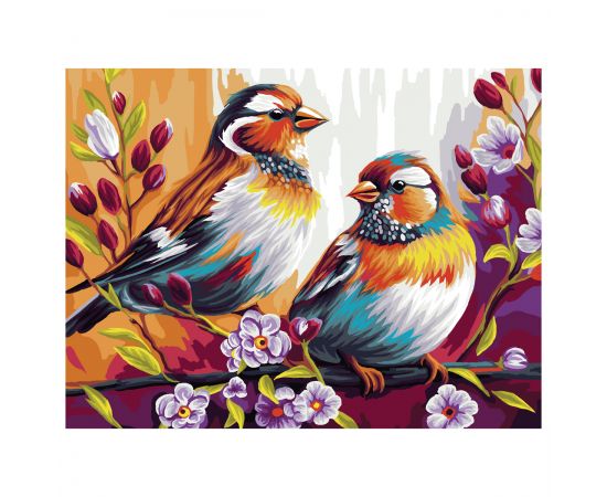 Картина по номерам на холсте ТРИ СОВЫ "Птицы", 40*50, с акриловыми красками и кистями КХ4050_53928