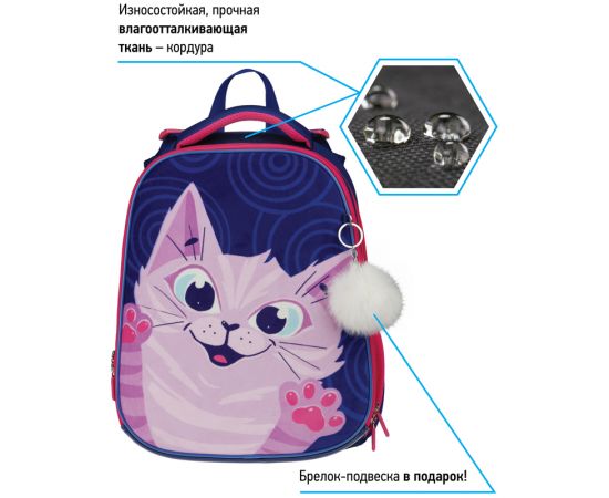 Ранец Berlingo Expert "Scary cat" 37*28*16см, 2 отделения, 2 кармана, анатомическая спинка RU07103