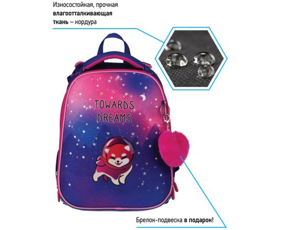 Ранец Berlingo Expert "Akita boy" 37*28*16см, 2 отделения, 2 кармана, анатомическая спинка RU07112