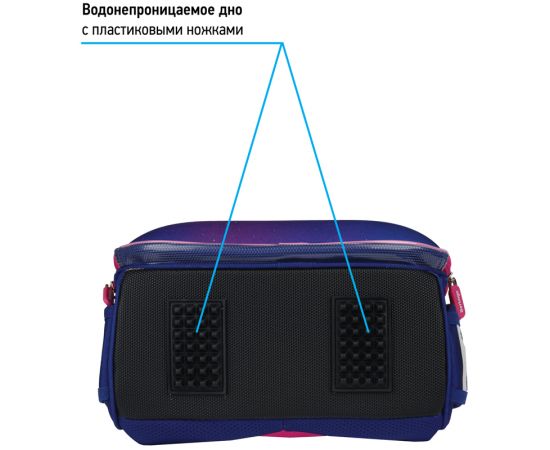 Ранец Berlingo Expert "Akita boy" 37*28*16см, 2 отделения, 2 кармана, анатомическая спинка RU07112