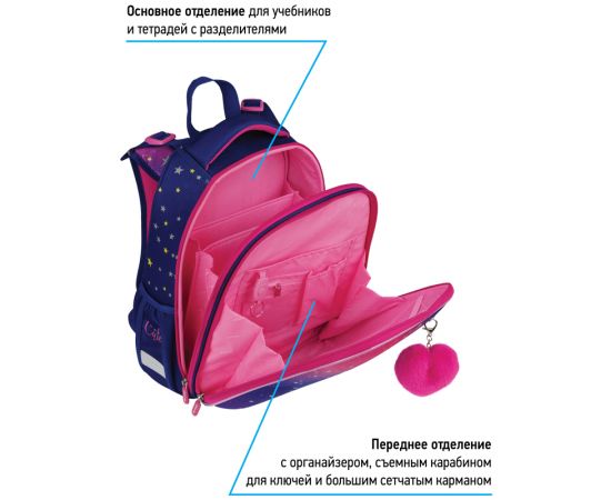 Ранец Berlingo Expert "Akita boy" 37*28*16см, 2 отделения, 2 кармана, анатомическая спинка RU07112