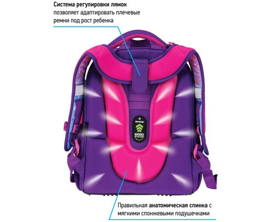 Ранец Berlingo Expert "Husky boy" 37*28*16см, 2 отделения, 2 кармана, анатомическая спинка RU07113