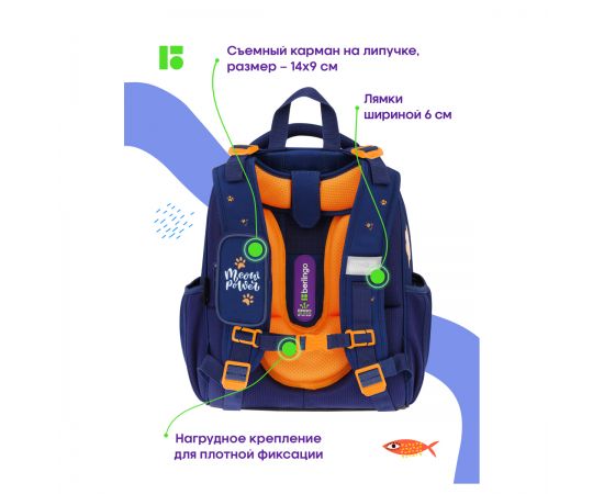Ранец Berlingo Expert "Meow power" 37*28*16см, 2 отделения, 2 кармана, анатомическая спинка RU09005