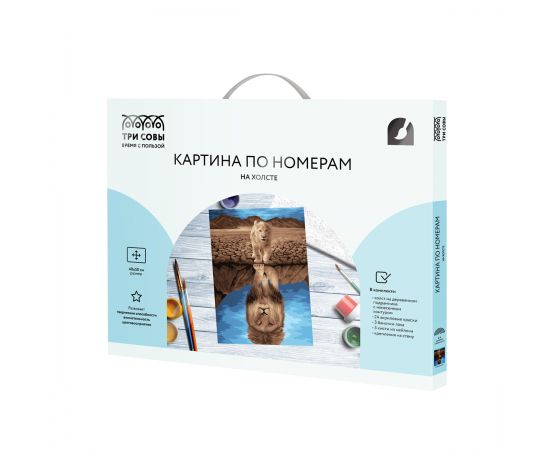Картина по номерам на холсте ТРИ СОВЫ "Отражение", 40*50, с акриловыми красками и кистями КХ4050_53920
