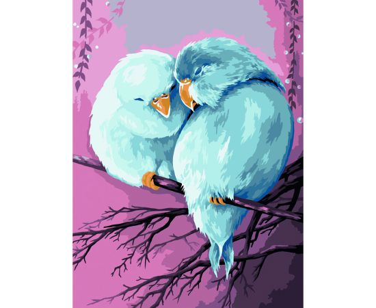 Картина по номерам на холсте ТРИ СОВЫ "Милая пара", 30*40, с акриловыми красками и кистями КХ_44141