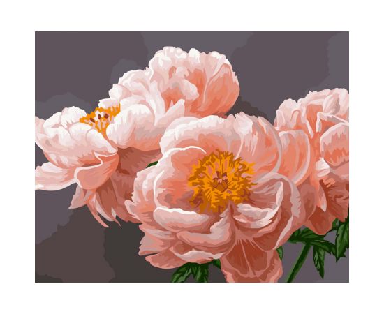 Картина по номерам на холсте ТРИ СОВЫ "Нежность", 40*50, с акриловыми красками и кистями КХ_44146