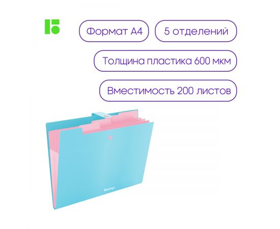 Папка 5 отделений Berlingo "Haze", А4, 600мкм, на кнопке, голубая, софт-тач XF4_05921