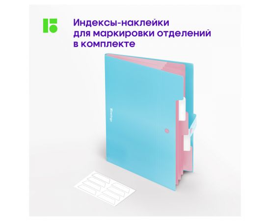 Папка 5 отделений Berlingo "Haze", А4, 600мкм, на кнопке, голубая, софт-тач XF4_05921