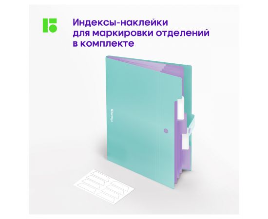 Папка 5 отделений Berlingo "Haze", А4, 600мкм, на кнопке, мятная, софт-тач XF4_05922
