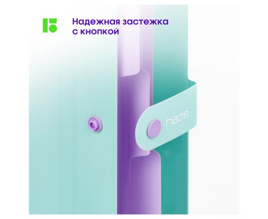 Папка 5 отделений Berlingo "Haze", А4, 600мкм, на кнопке, мятная, софт-тач XF4_05922