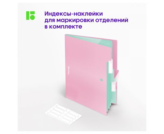 Папка 5 отделений Berlingo "Haze", А4, 600мкм, на кнопке, розовая, софт-тач XF4_05923