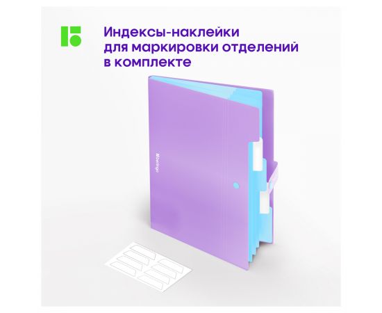 Папка 5 отделений Berlingo "Haze", А4, 600мкм, на кнопке, сиреневая, софт-тач XF4_05924