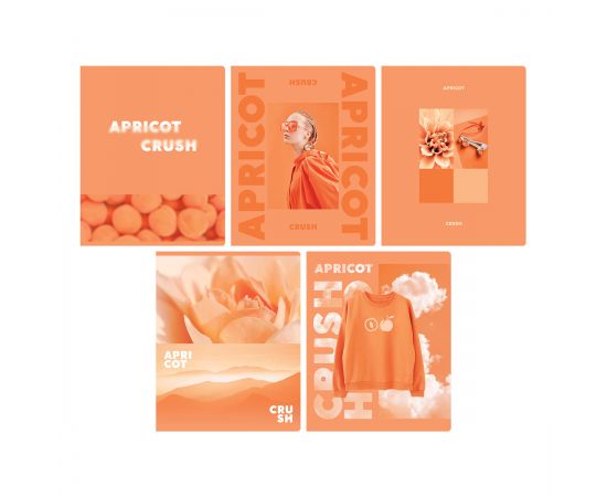 Тетрадь 48л., А5, клетка BG "Apricot", матовая ламинация Т5ск48_лм 12721