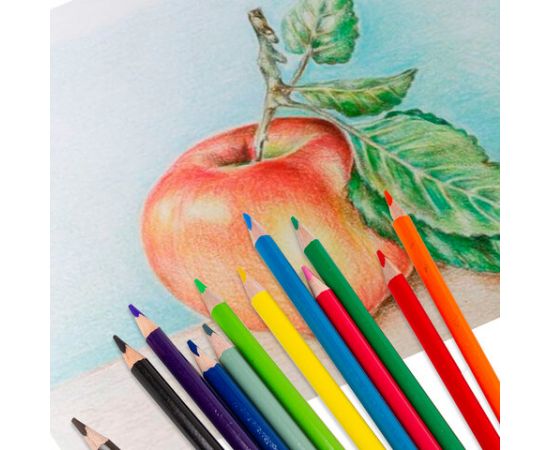 Карандаши цветные BRAUBERG PREMIUM, 12 цветов, трехгранные, грифель 3,3 мм, 181651 181651