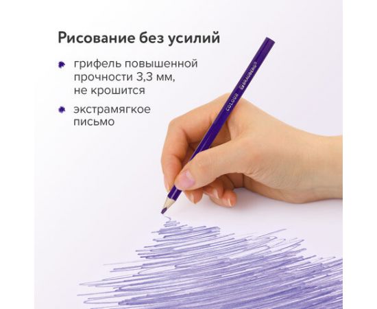 Карандаши цветные BRAUBERG PREMIUM, 12 цветов, трехгранные, грифель 3,3 мм, 181651 181651