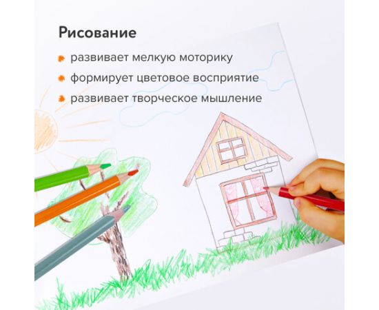 Карандаши цветные BRAUBERG PREMIUM, 12 цветов, трехгранные, грифель 3,3 мм, 181651 181651