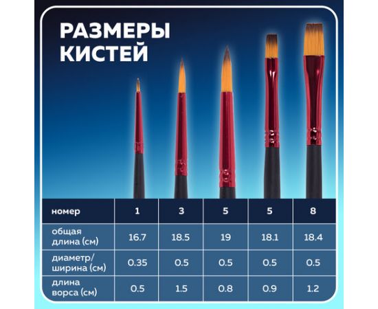 Кисти BRAUBERG PREMIUM, набор 5шт. (синтетика, круглая №1,3,5, плоская №5,8), блистер, 201024 201024
