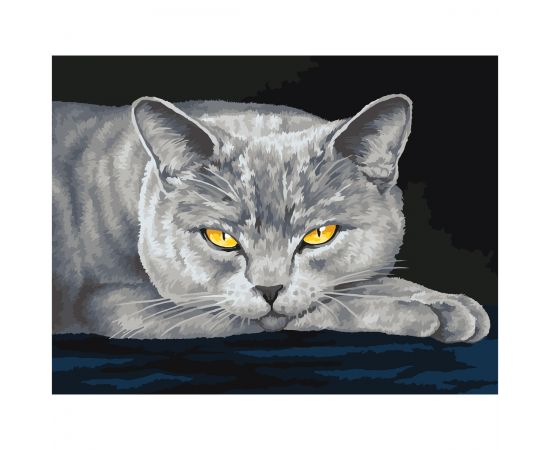 Картина по номерам на холсте ТРИ СОВЫ "Серый кот", 30*40, с акриловыми красками и кистями КХ3040_53834