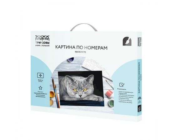 Картина по номерам на холсте ТРИ СОВЫ "Серый кот", 30*40, с акриловыми красками и кистями КХ3040_53834
