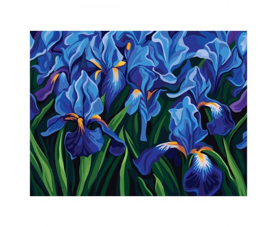 Картина по номерам на холсте ТРИ СОВЫ "Ирисы", 30*40, с акриловыми красками и кистями КХ3040_53874