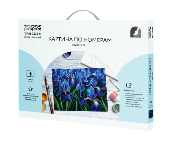 Картина по номерам на холсте ТРИ СОВЫ "Ирисы", 30*40, с акриловыми красками и кистями КХ3040_53874