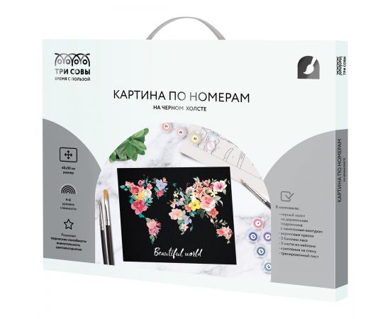 Картина по номерам на черном холсте ТРИ СОВЫ "Мир цветов", 40*50, c акриловыми красками и кистями КХп_48166