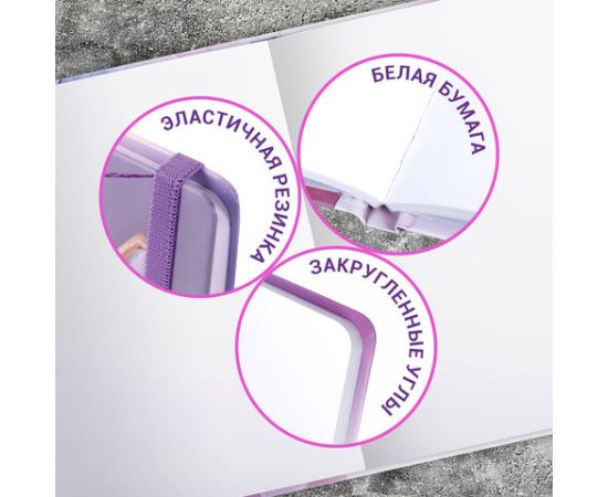 Скетчбук, белая бумага 80г/м 145х203мм, 80л, резинка, твердый, BRAUBERG ART DEBUT, Корги, 114579 114579