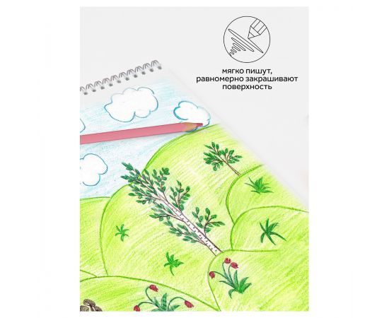 Карандаши цветные Гамма, 12цв., квадратные, пастельн., заточен., метал. пенал 160720211