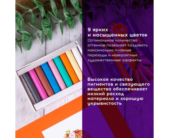 Пастель сухая художественная BRAUBERG ART DEBUT, 9 цветов, круглое сечение, 181459 181459