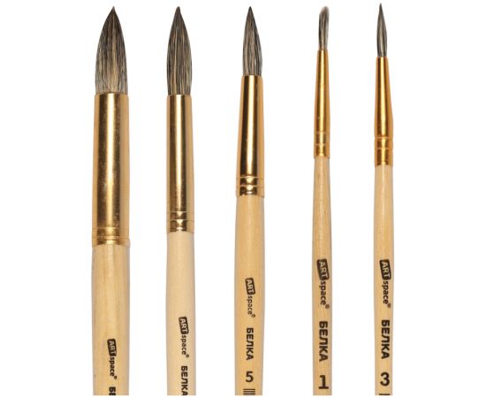 Набор кистей ArtSpace 6шт., белка, круглые, № 1, 3, 5, 7, 9, 11, блистер SB_3301
