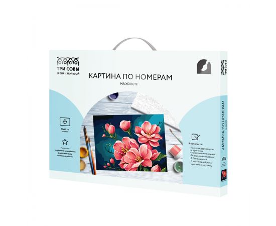 Картина по номерам на холсте ТРИ СОВЫ "Яблоневый цвет", 30*40, с акриловыми красками и кистями КХ3040_53862