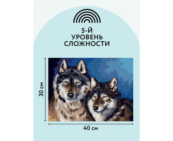 Картина по номерам на холсте ТРИ СОВЫ "Волки", 30*40, с акриловыми красками и кистями КХ_44091