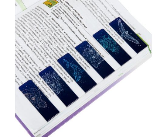 Закладки для книг МАГНИТНЫЕ, "GALAXY", набор 12 шт., 60x20 мм, BRAUBERG, 113171 113171