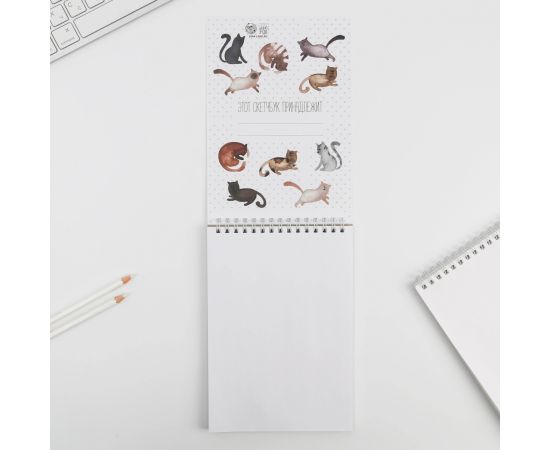 Скетчбук «Кот» А5, 40 л, 100 г/м 1825575
